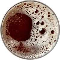 https://ediktum.ro/wp-content/uploads/2017/05/beer_transparent_02.png