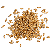 https://ediktum.ro/wp-content/uploads/2017/05/ingredients_transparent_03.png